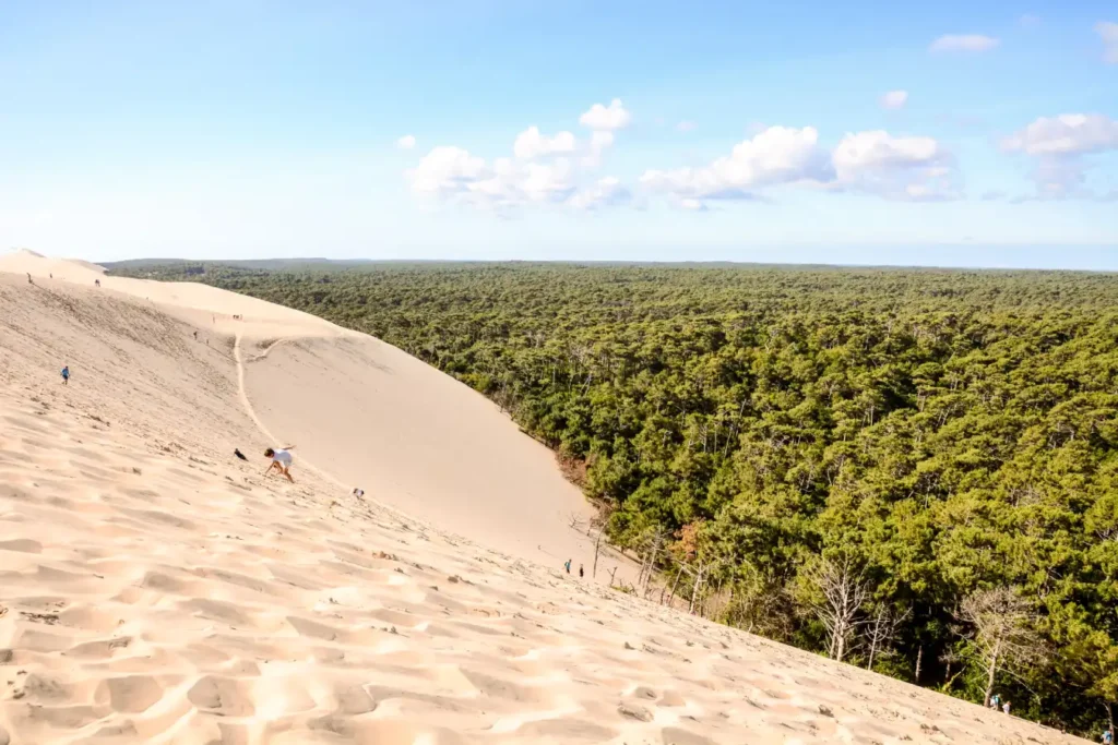 Camping à Sanguinet proche de la Dune du Pilat, dans les Landes, idéal pour des vacances en famille entre lac, forêt de pins et visites des grands sites du Bassin d’Arcachon.